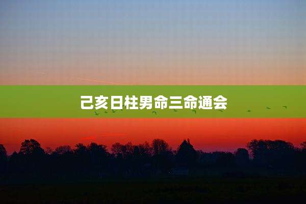己亥日柱男命三命通会