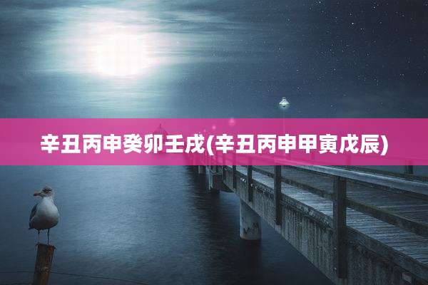 辛丑丙申癸卯壬戌(辛丑丙申甲寅戊辰)