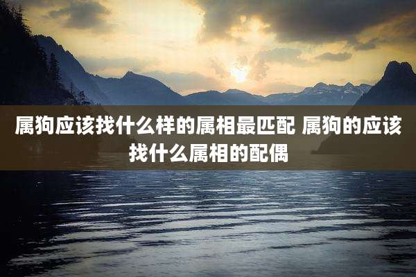 属狗应该找什么样的属相最匹配 属狗的应该找什么属相的配偶