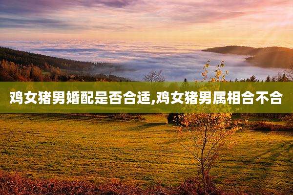 鸡女猪男婚配是否合适,鸡女猪男属相合不合