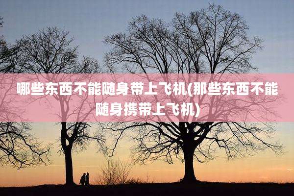 哪些东西不能随身带上飞机(那些东西不能随身携带上飞机)