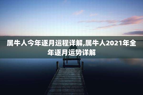 属牛人今年逐月运程详解,属牛人2021年全年逐月运势详解