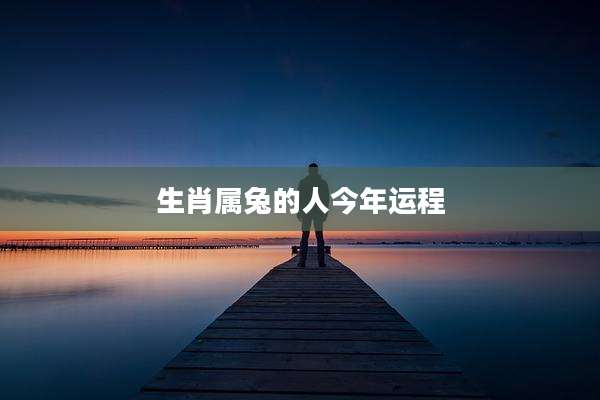 生肖属兔的人今年运程
