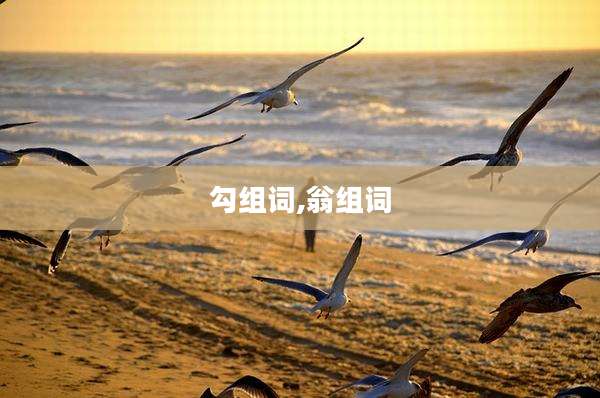 勾组词,翁组词