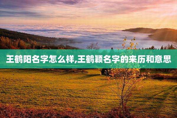 王鹤阳名字怎么样,王鹤颖名字的来历和意思