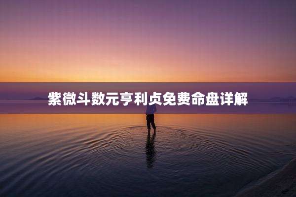 紫微斗数元亨利贞免费命盘详解