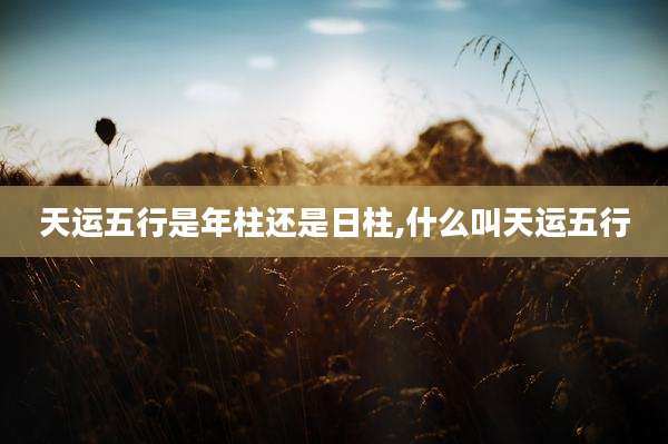 天运五行是年柱还是日柱,什么叫天运五行