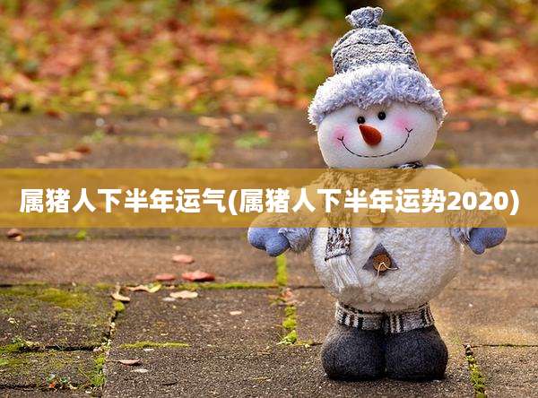 属猪人下半年运气(属猪人下半年运势2020)
