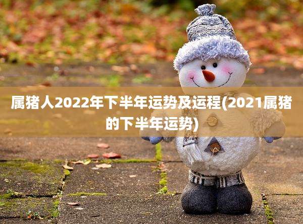 属猪人2022年下半年运势及运程(2021属猪的下半年运势)