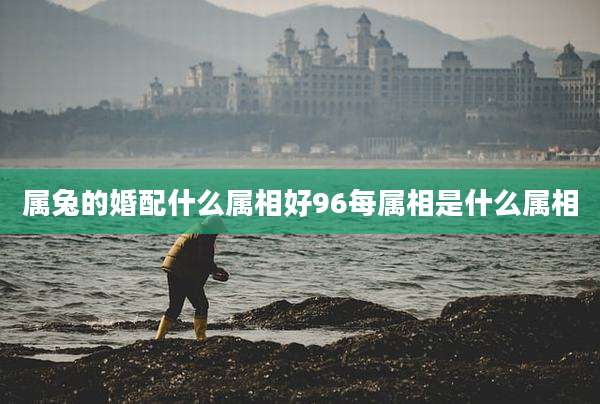 属兔的婚配什么属相好96每属相是什么属相