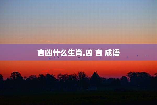 吉凶什么生肖,凶 吉 成语