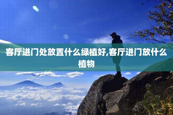 客厅进门处放置什么绿植好,客厅进门放什么植物