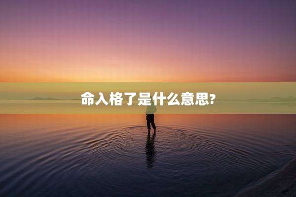 命入格了是什么意思?