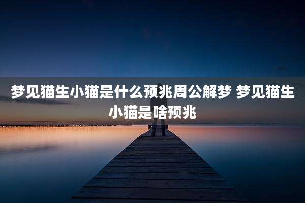 梦见猫生小猫是什么预兆周公解梦 梦见猫生小猫是啥预兆