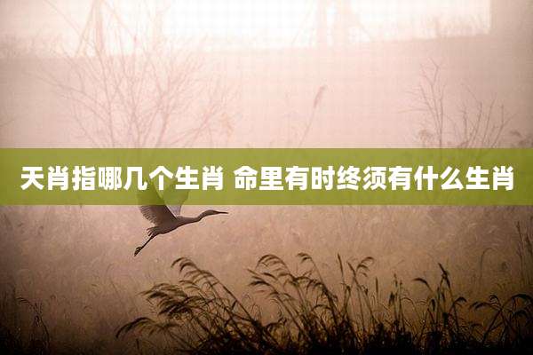 天肖指哪几个生肖 命里有时终须有什么生肖