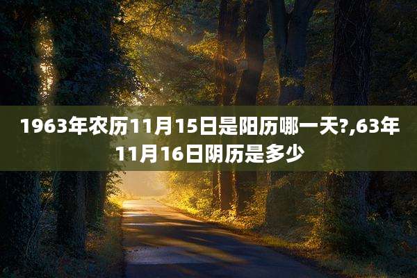 1963年农历11月15日是阳历哪一天?,63年11月16日阴历是多少