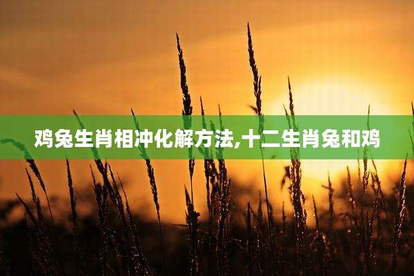 鸡兔生肖相冲化解方法,十二生肖兔和鸡