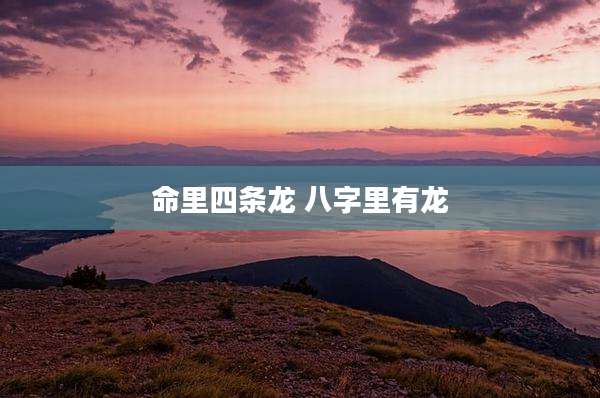命里四条龙 八字里有龙