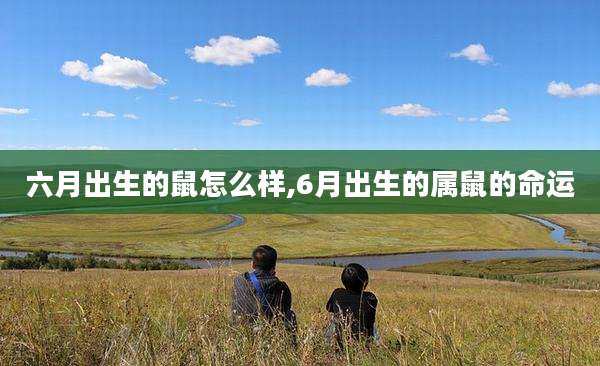 六月出生的鼠怎么样,6月出生的属鼠的命运