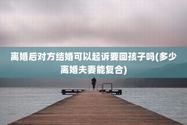 离婚后对方结婚可以起诉要回孩子吗(多少离婚夫妻能复合)