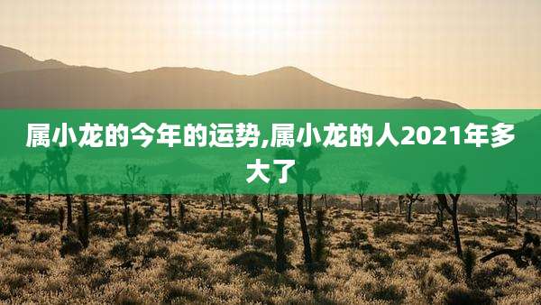 属小龙的今年的运势,属小龙的人2021年多大了