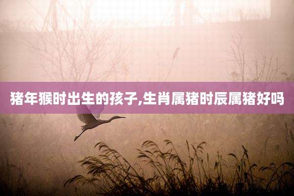 猪年猴时出生的孩子,生肖属猪时辰属猪好吗