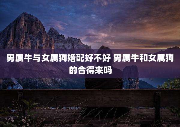 男属牛与女属狗婚配好不好 男属牛和女属狗的合得来吗