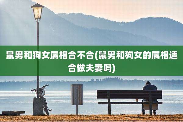 鼠男和狗女属相合不合(鼠男和狗女的属相适合做夫妻吗)