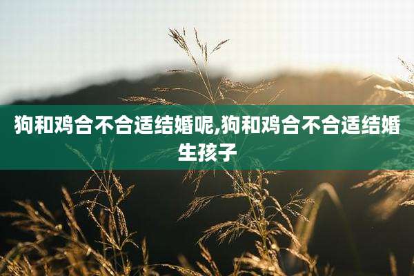 狗和鸡合不合适结婚呢,狗和鸡合不合适结婚生孩子