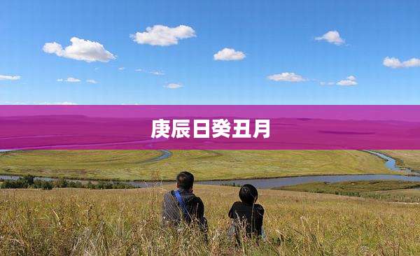 庚辰日癸丑月