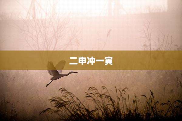 二申冲一寅