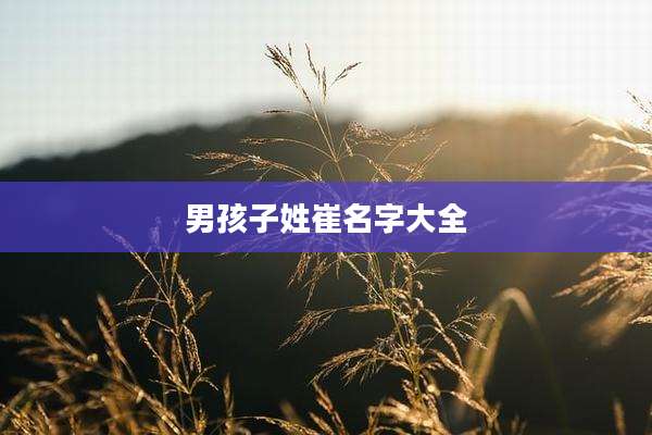 男孩子姓崔名字大全