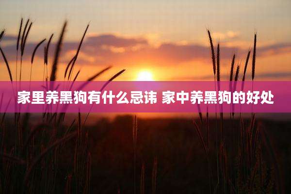 家里养黑狗有什么忌讳 家中养黑狗的好处