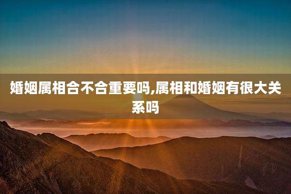 婚姻属相合不合重要吗,属相和婚姻有很大关系吗