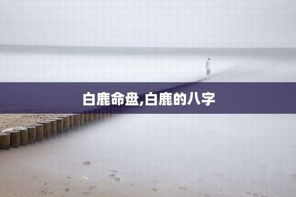 白鹿命盘,白鹿的八字