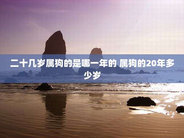二十几岁属狗的是哪一年的 属狗的20年多少岁