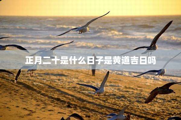 正月二十是什么日子是黄道吉日吗