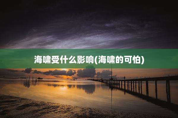 海啸受什么影响(海啸的可怕)
