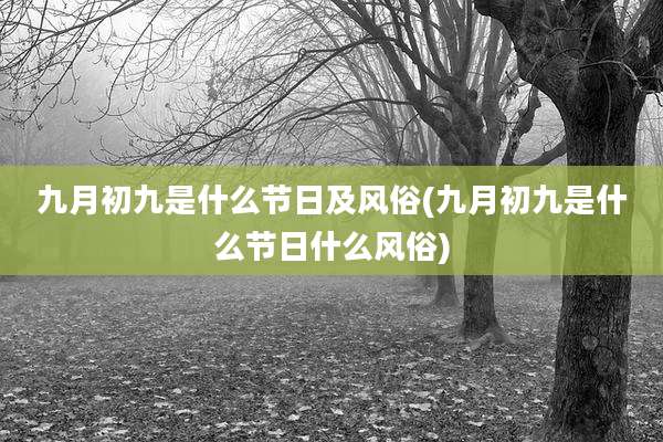 九月初九是什么节日及风俗(九月初九是什么节日什么风俗)