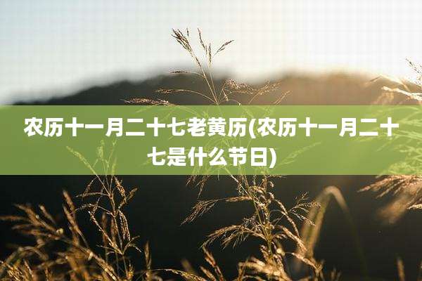 农历十一月二十七老黄历(农历十一月二十七是什么节日)