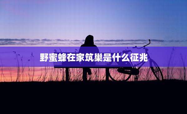 野蜜蜂在家筑巢是什么征兆