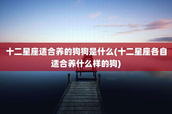 十二星座适合养的狗狗是什么(十二星座各自适合养什么样的狗)