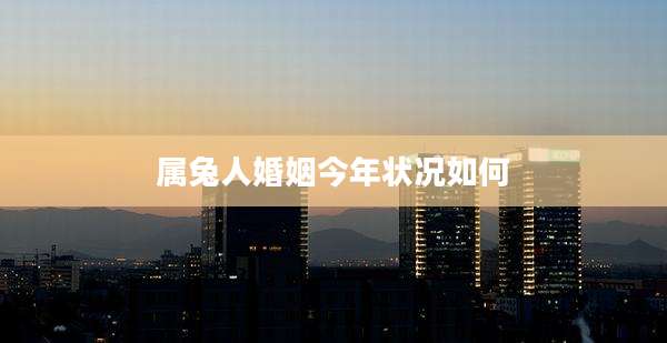 属兔人婚姻今年状况如何