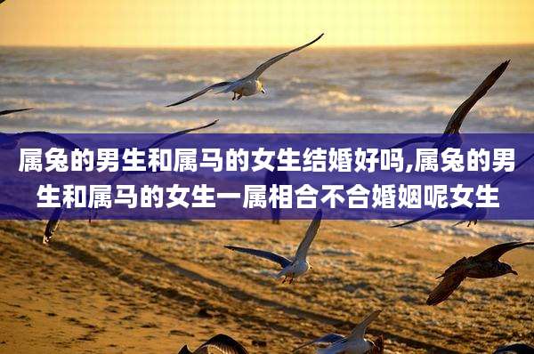 属兔的男生和属马的女生结婚好吗,属兔的男生和属马的女生一属相合不合婚姻呢女生