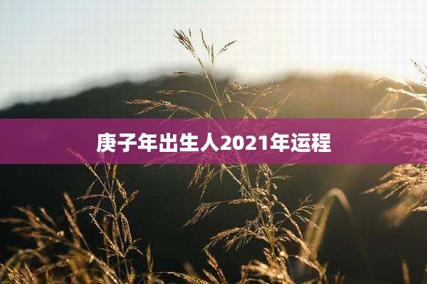庚子年出生人2021年运程