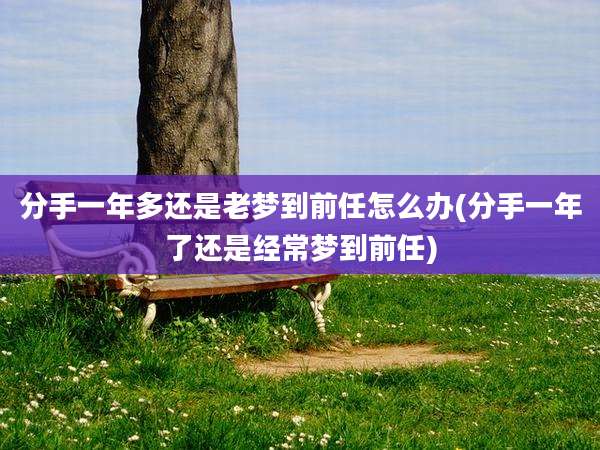 分手一年多还是老梦到前任怎么办(分手一年了还是经常梦到前任)