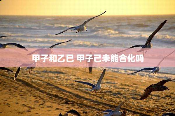 甲子和乙巳 甲子己未能合化吗