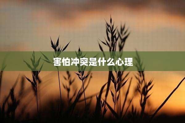 害怕冲突是什么心理
