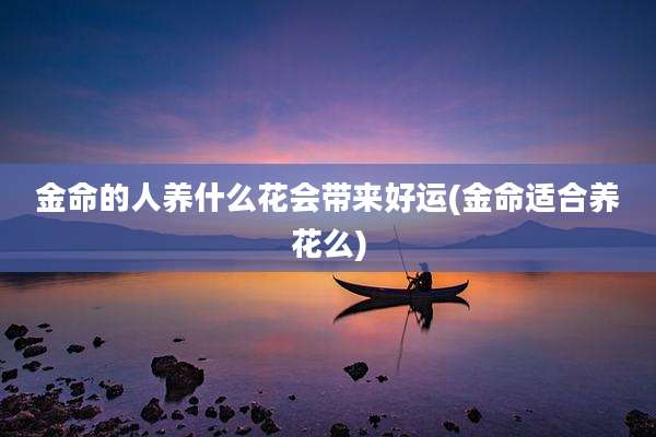 金命的人养什么花会带来好运(金命适合养花么)