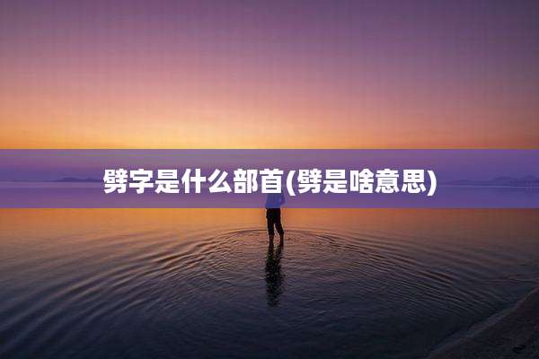 劈字是什么部首(劈是啥意思)